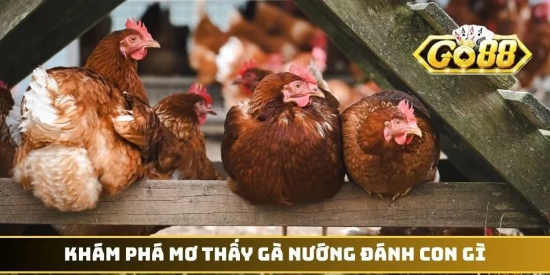 Mơ Thấy Gà Đánh Con Gì - Những Bí Ẩn Con Số May Mắn 4 Khám phá mơ thấy gà nướng đánh con gì