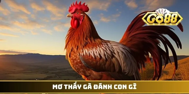 Mơ Thấy Gà Đánh Con Gì - Những Bí Ẩn Con Số May Mắn 1 Mơ thấy gà đánh con gì