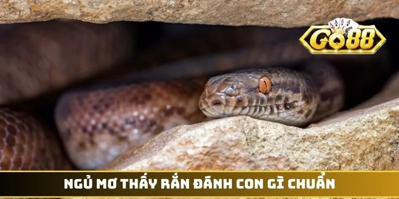 Mơ Thấy Rắn Đánh Con Gì - Hốt Bạc Tỷ Từ Sảnh Cược GO88 3 Ngủ mơ thấy rắn đánh con gì chuẩn