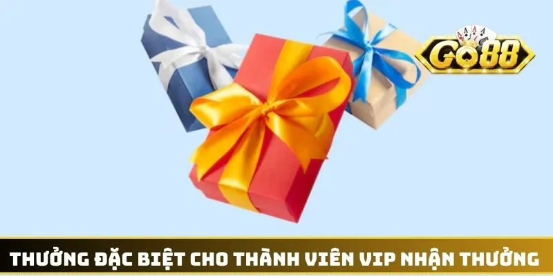 Thưởng Đặc Biệt Cho Thành Viên VIP - Nâng Tầm Trải Nghiệm 4 Thưởng đặc biệt cho thành viên VIP nhận thưởng nhanh