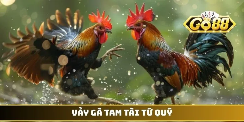 Vảy Gà Tam Tài Tứ Quý - Biểu Tượng Thần Kê Dũng Mãnh 1 Vảy gà Tam Tài Tứ Quý