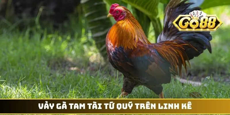 Vảy Gà Tam Tài Tứ Quý - Biểu Tượng Thần Kê Dũng Mãnh 2 Vảy gà Tam Tài Tứ Quý trên linh kê