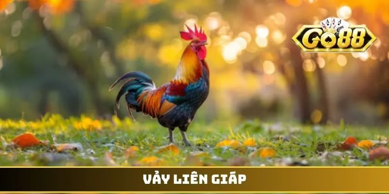 Vảy Liên Giáp - Đặc Điểm Nhận Diện Thần Kê Có Đòn Cáo 1 Vảy Liên Giáp